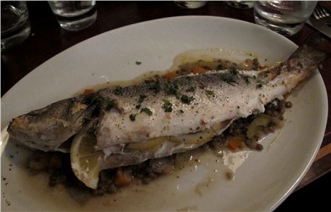 Sea bass on a sleepless nights bed