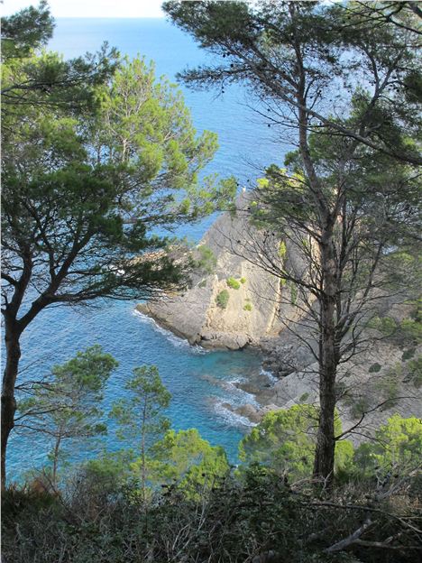 Along The Walk To Port Des Canonges