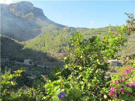 Fruitful Deia In Its Spectacular Mountain Setting