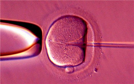 Is it worth continuing with IVF after three failed attempts?