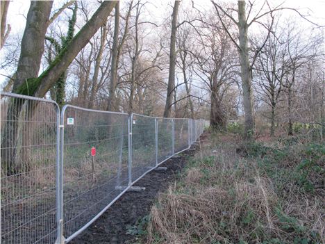 Ugly fence surrounding the felling area in an untended part of the park