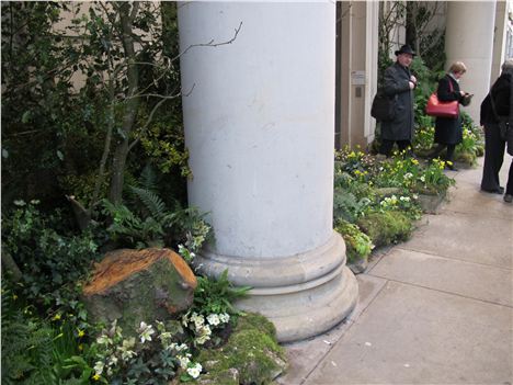 Flowers at the entrance