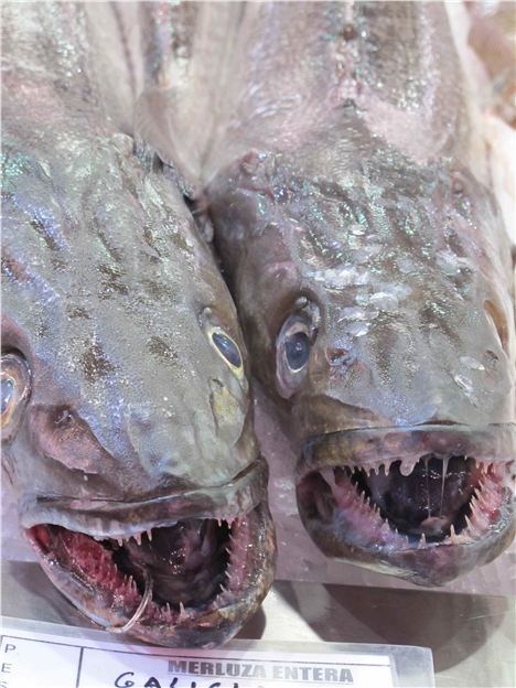 Central Market, Fish Counter