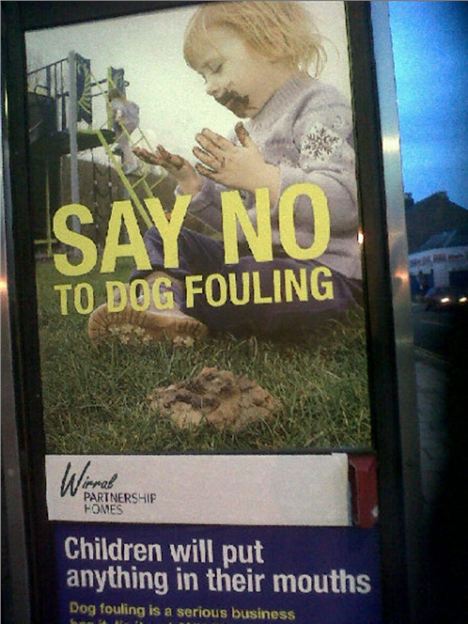 In pictures: Say no to dog fouling