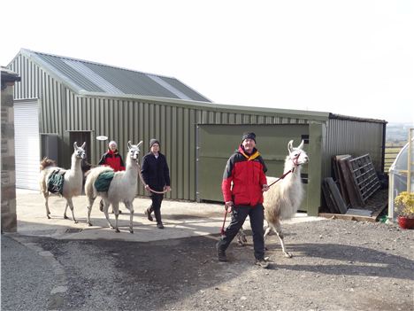 Some of the team and their humans