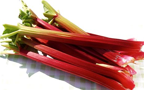 Rhubarb