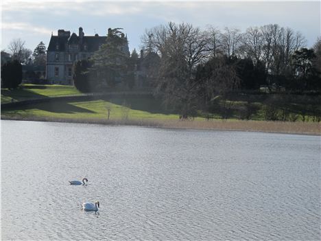 Synchronised Swans