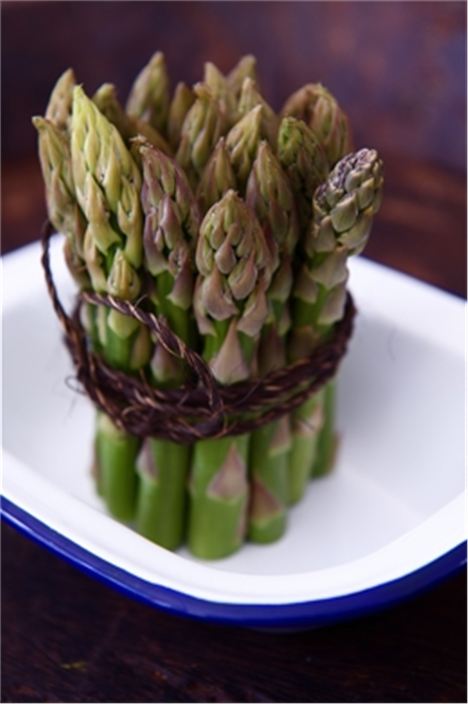 English asparagus, short and fat