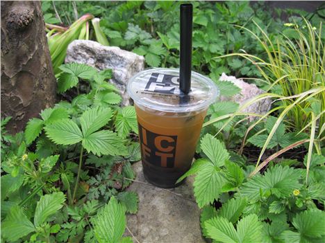 ICFT's tapioca and passionfruit sweet Bubble Tea in my garden