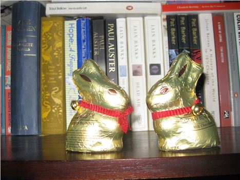 Chocolate Bunnies