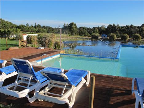 Pool And Natural Pond At Casa Vicentino