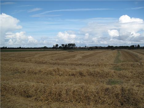 Farmland-Near-Meols-1544304