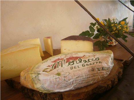 Cheeses For Lunch At Villa Tiepolo Passi