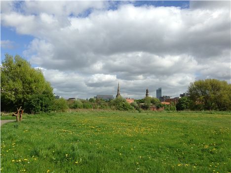 View across The Meadows