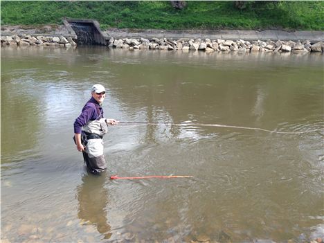 Trout snaffling