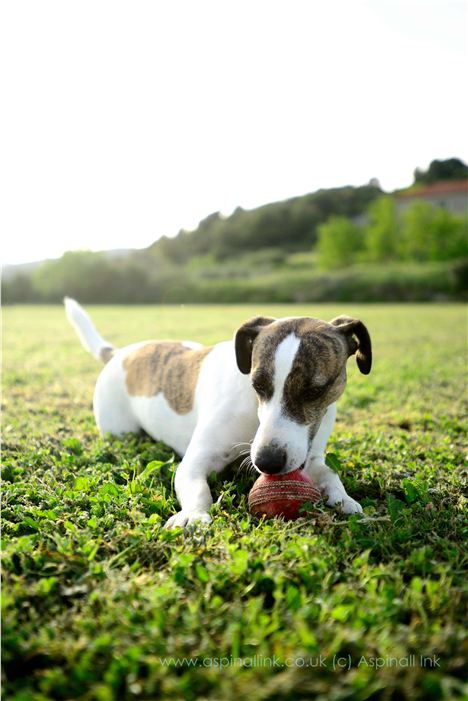 Can We Have Our Ball Back Please?