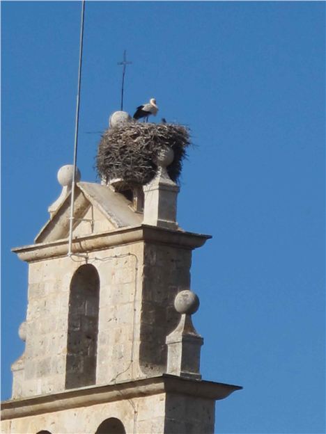 Stork Atop Le Domaine