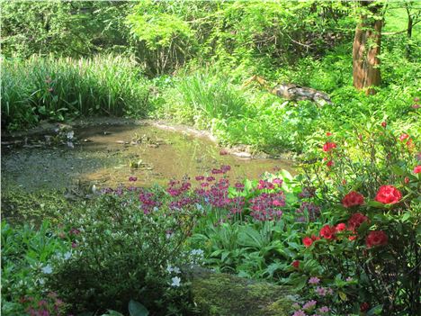 Quiet Corner Of Durham Botanic Gardens