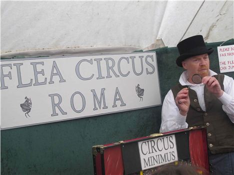 Flea Circus, Beamish