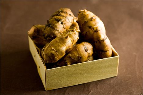 The dreaded Jerusalem artichoke