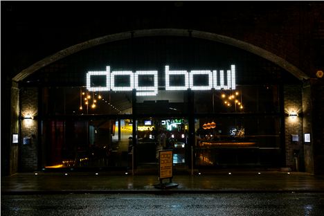 Dog Bowl