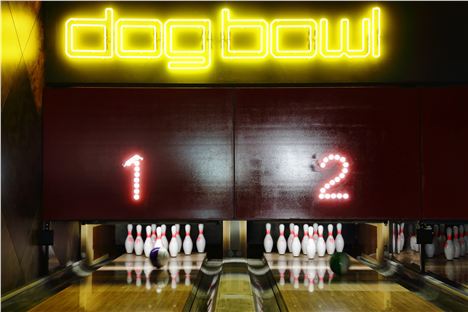 Dogbowl