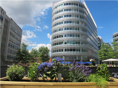 Planters and Spinningfields