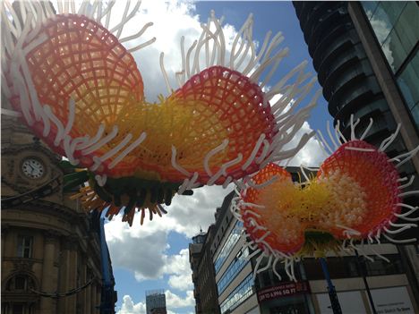 And the balloon flowers on New Cathedral Street