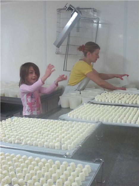 Helping Mum Make Cheesse At Blancs Des Chardons