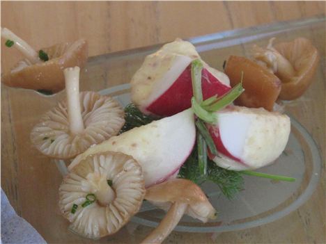 Radish And Mushroom Appetiser