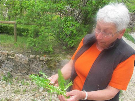 Herb Expert Anne-Marie Besson