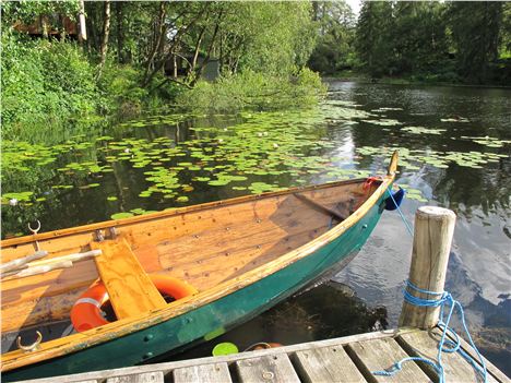 Boat And Lilypads