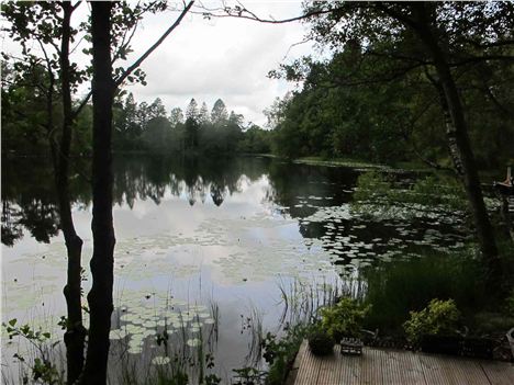 View From The Boathouse At Dusk