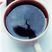 Wolfgang Tillmans, Chaos Cup, 1997. {Stilllife}