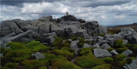 Simon's Seat