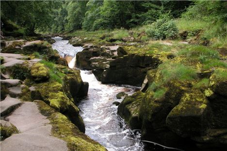 The Strid