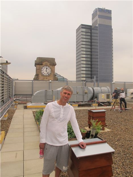 Bez and his bees