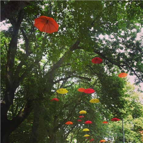 Pretty umbrellas up in the trees