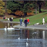 Sefton Park Lake