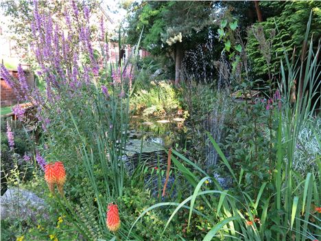 The Gorgeous Water Garden At Mere Brook