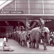 Elephants_Station