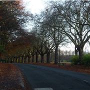 Sefton Park Meadows Liverpool 1