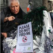 A very British coo: Pete Price and the pigeon