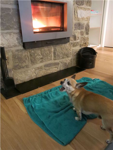 A Yawn In Front Of The Log Stove