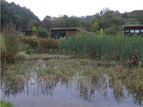 Natural Springs Provide Water For The Matural Retreats