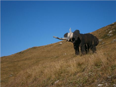 Elephant Sculpture