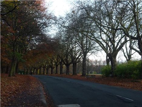 Sefton Park Meadows Liverpool 1