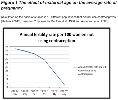 Fertility Rates