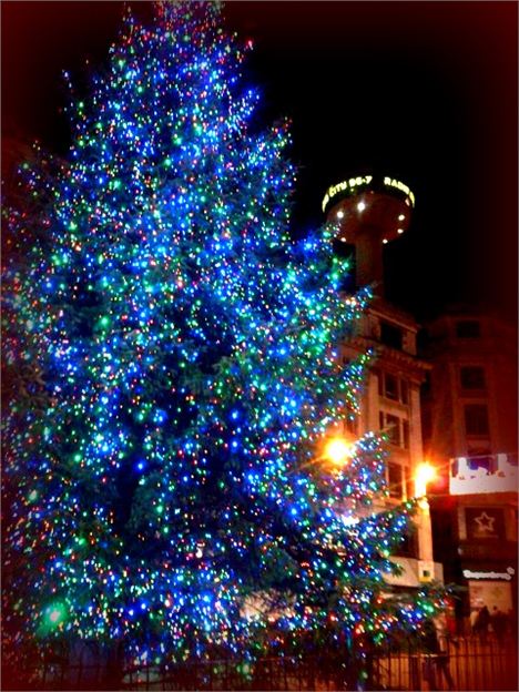 Liverpool Christmas Tree 2013