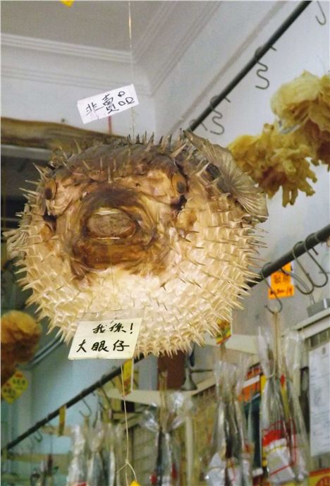 Dried Puffer Fish In Tai O Market